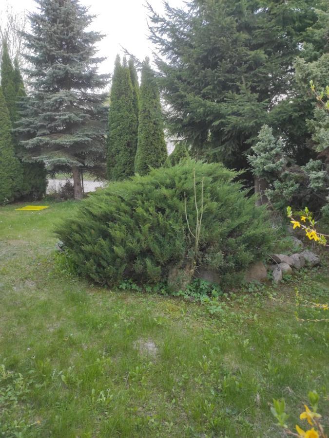 Apartamenty z ogrodem 2 Mrągowo Zewnętrze zdjęcie